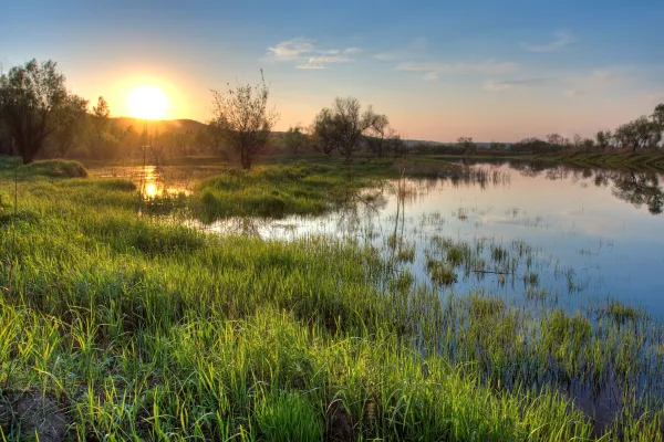 Blick auf ein Moor